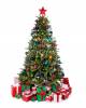  Christmas Tree (XXL)