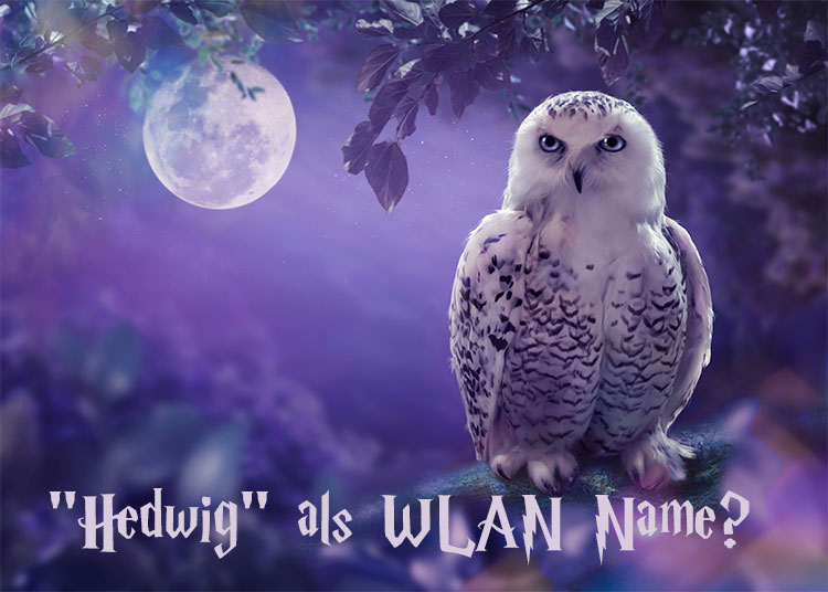 Hedwig als WLAN-Name?